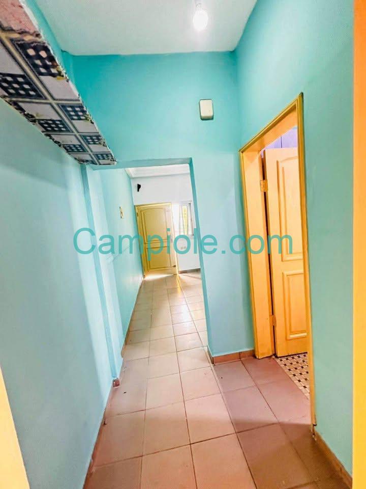 ASNN_studio_nsam_escale_020925_clr