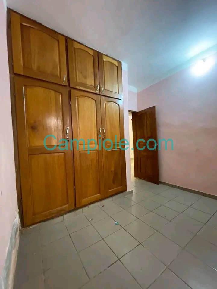 ASNN_studio_omnisport_yde_020925_chb