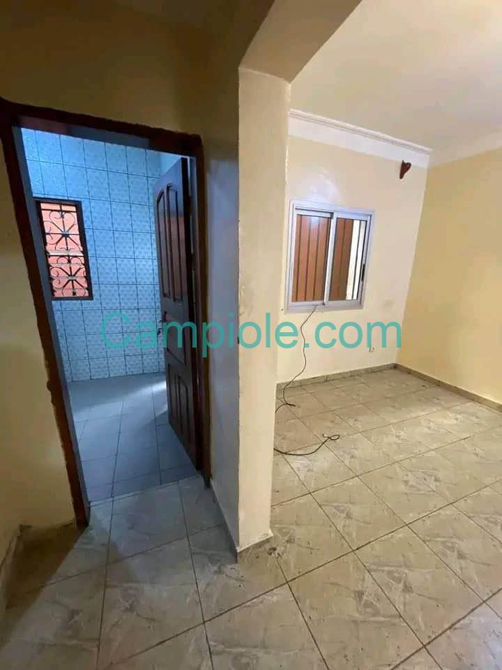 ASNN_studio_omnisport_yde_020925_clr