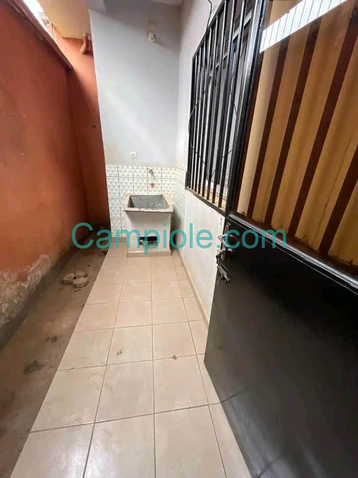 ASNN_studio_omnisport_yde_020925_ext