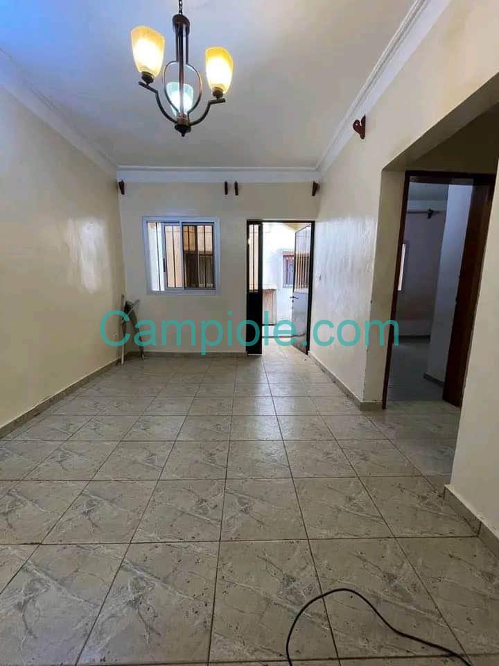 ASNN_studio_omnisport_yde_020925_sln1