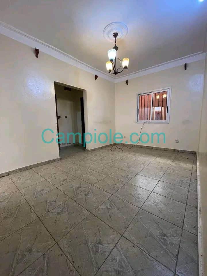 ASNN_studio_omnisport_yde_020925_sln2