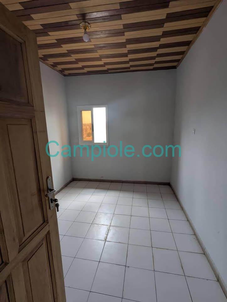 ASNN_studio_santa_barbara_yde_020925_chb1