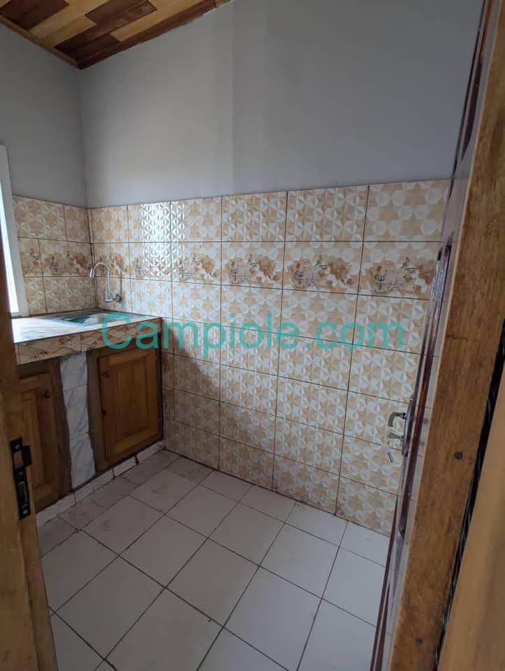 ASNN_studio_santa_barbara_yde_020925_csn