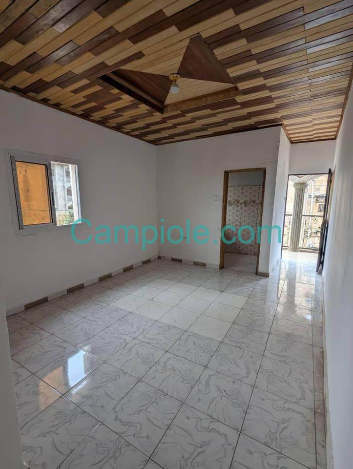 ASNN_studio_santa_barbara_yde_020925_sln1