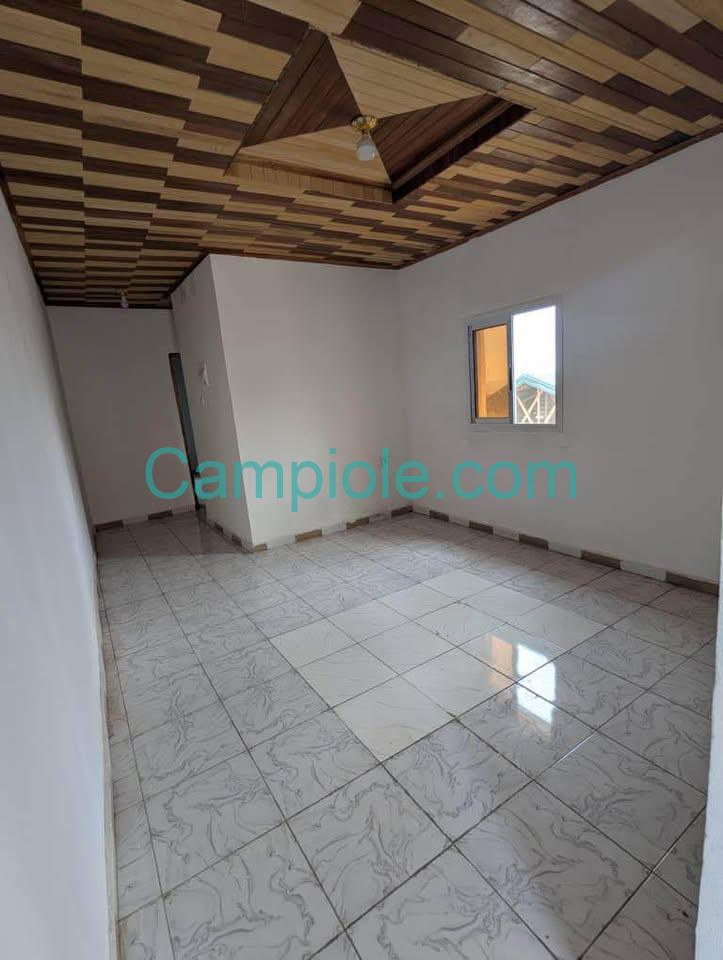 ASNN_studio_santa_barbara_yde_020925_sln2