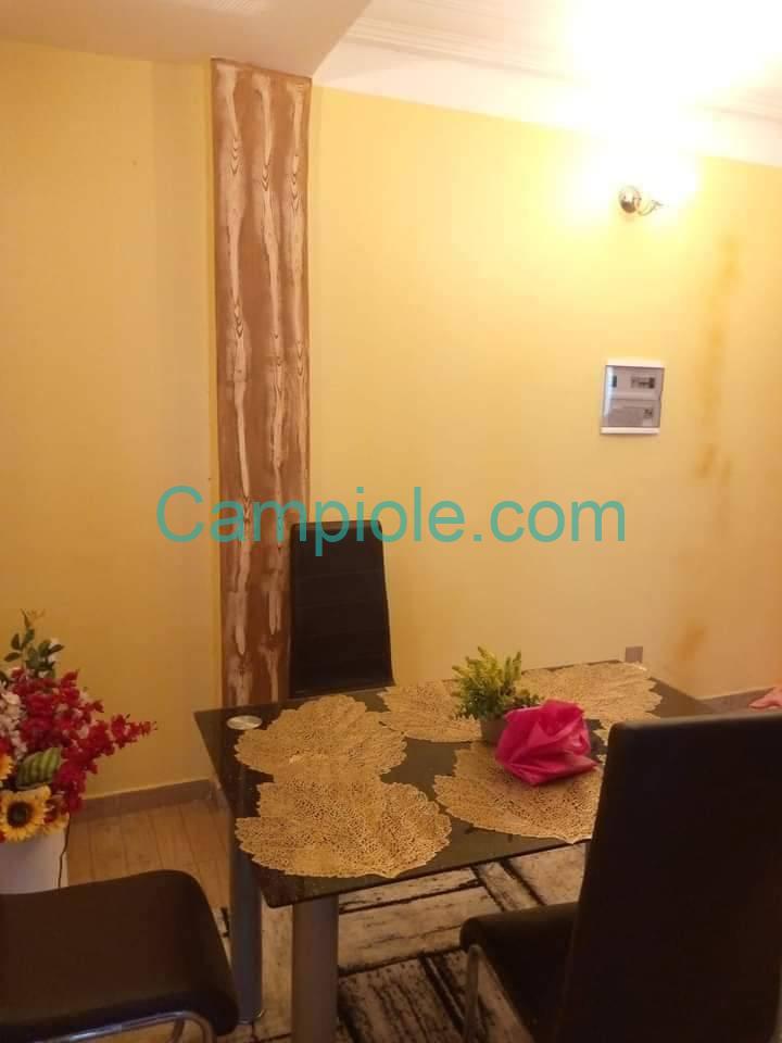 CFR_appartement_ndogbong_270925_slm