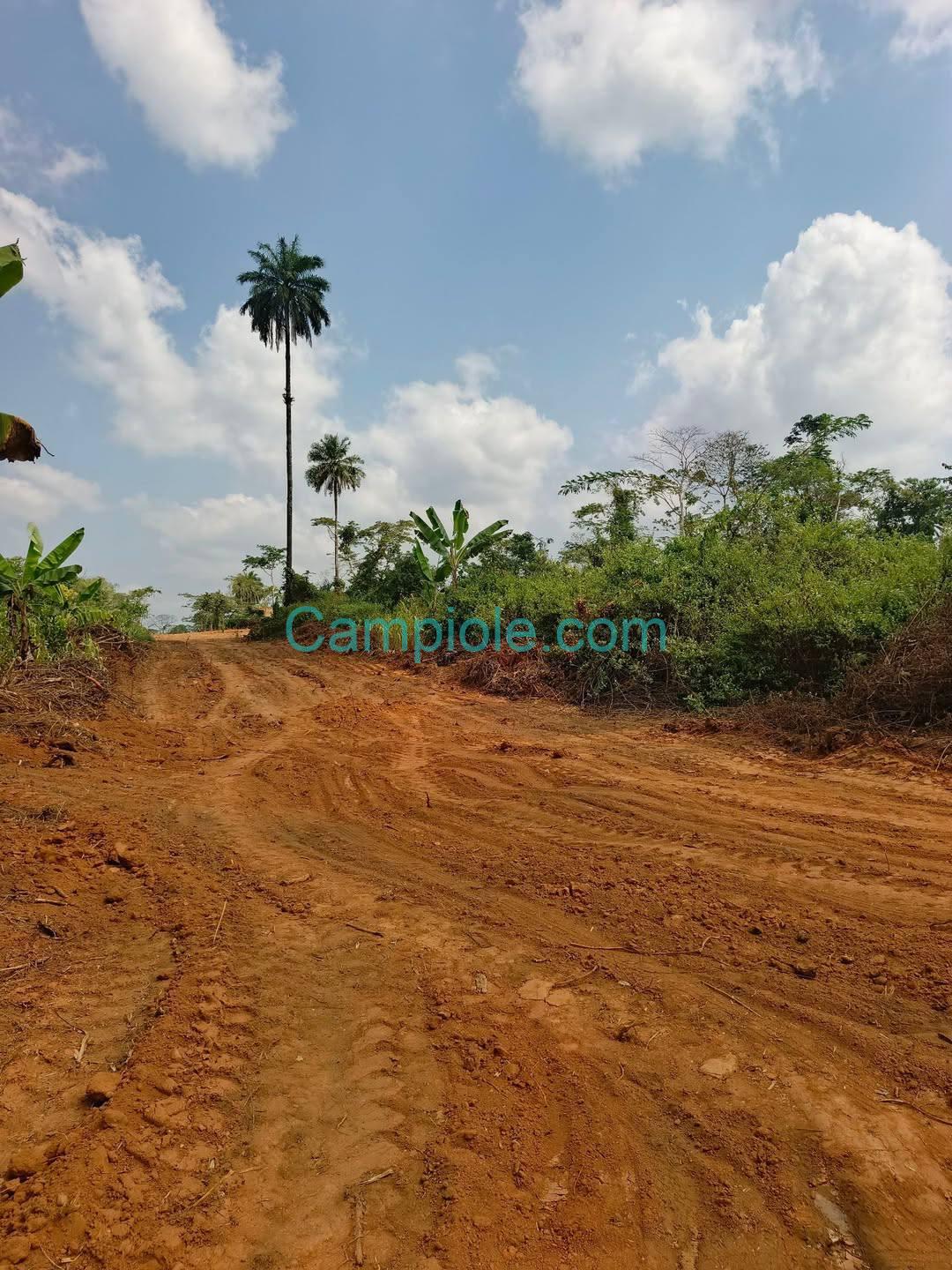 GIC_terrain_nkoabang_120925_001