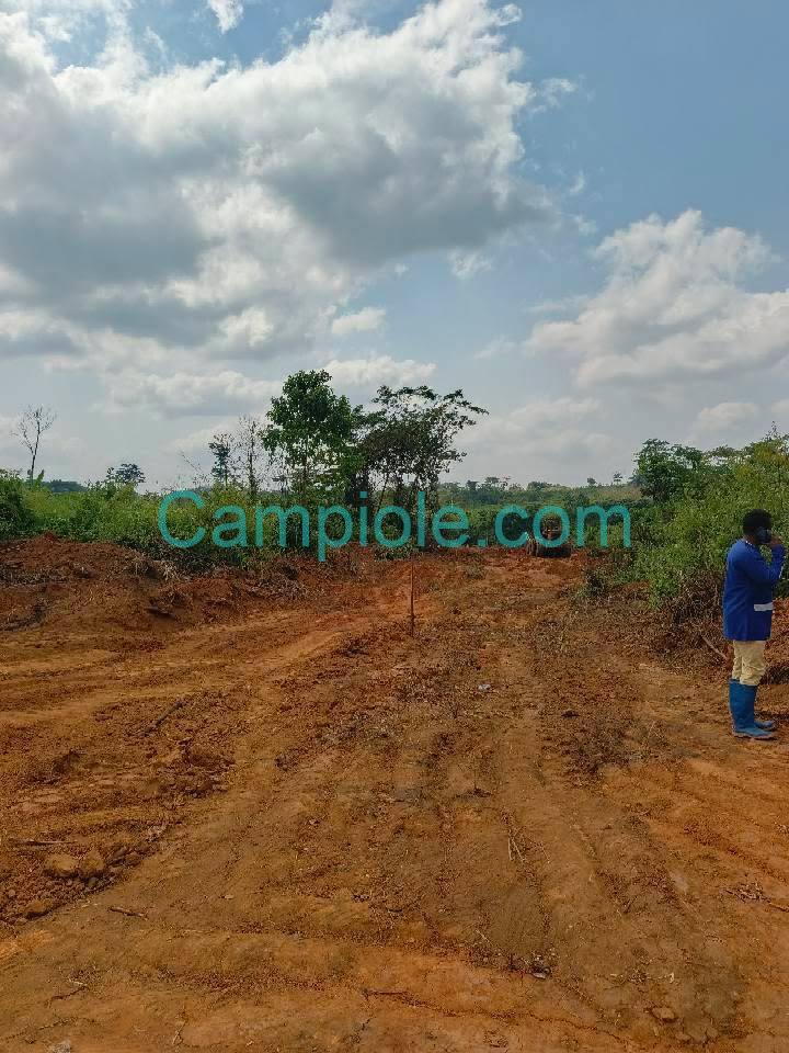 GIC_terrain_nkoabang_120925_002