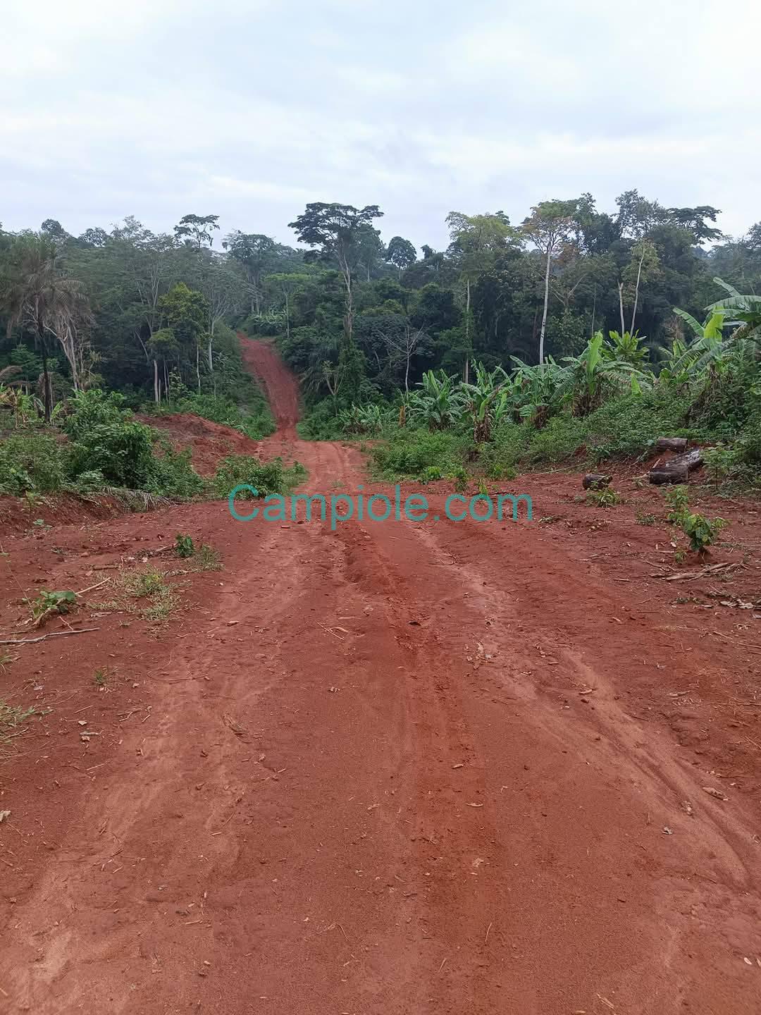 GIC_terrain_nkoabang_120925_003