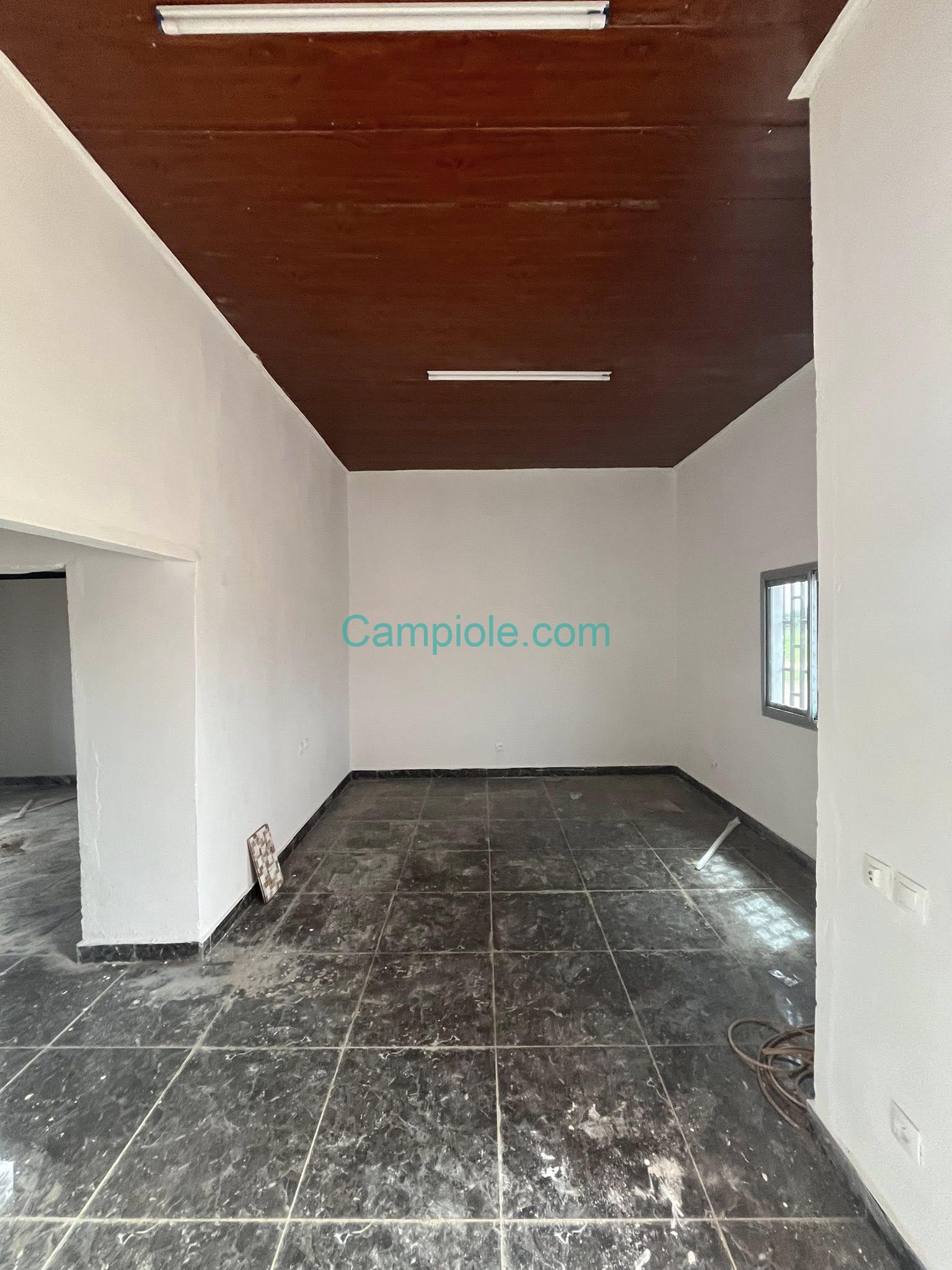 GSI_studio_garoua_050925_sln2