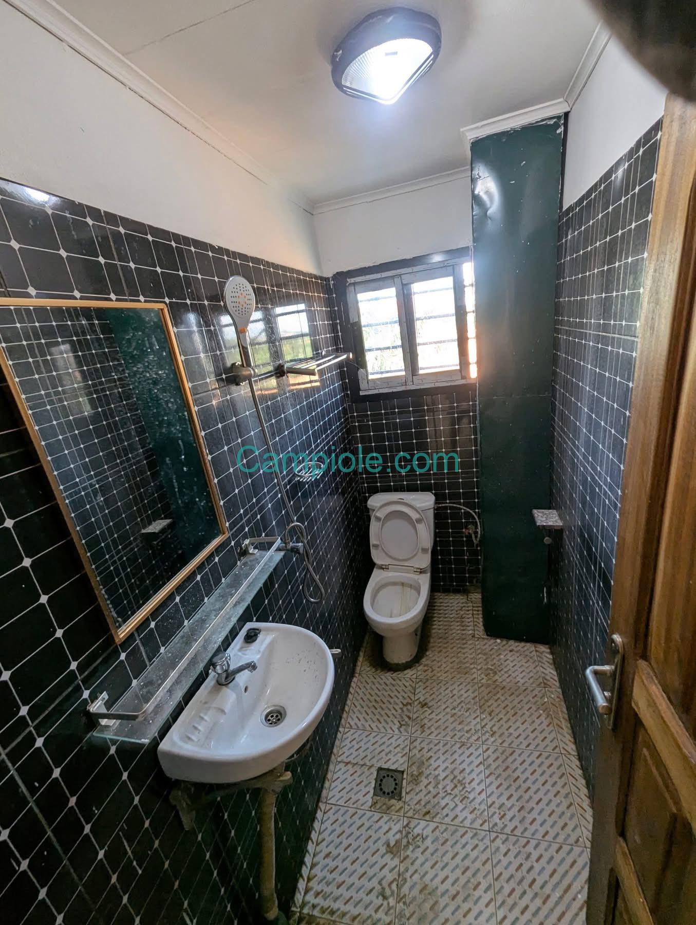 HS_appartement_yde_eleveur_100925_dch