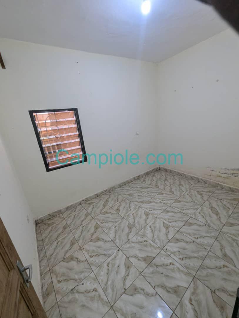 HS_studio_eleveur_yde_050925_chb