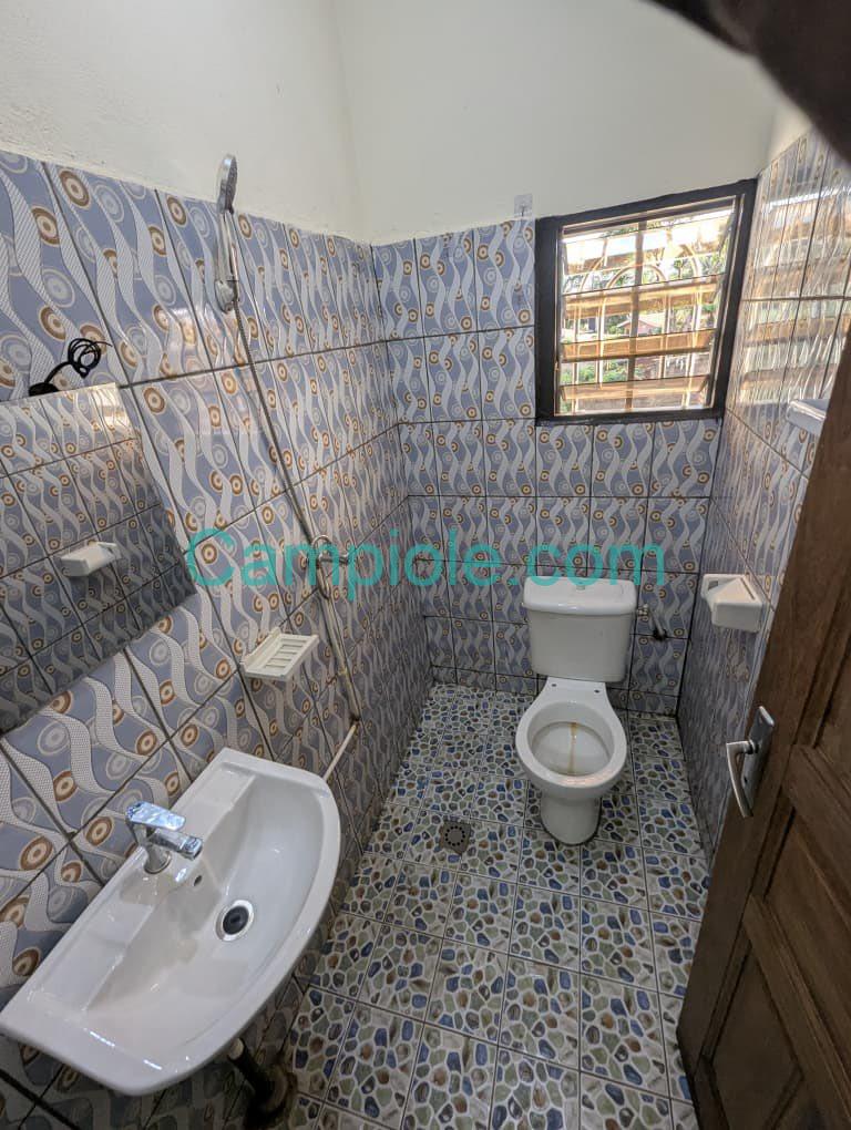 HS_studio_eleveur_yde_050925_dch