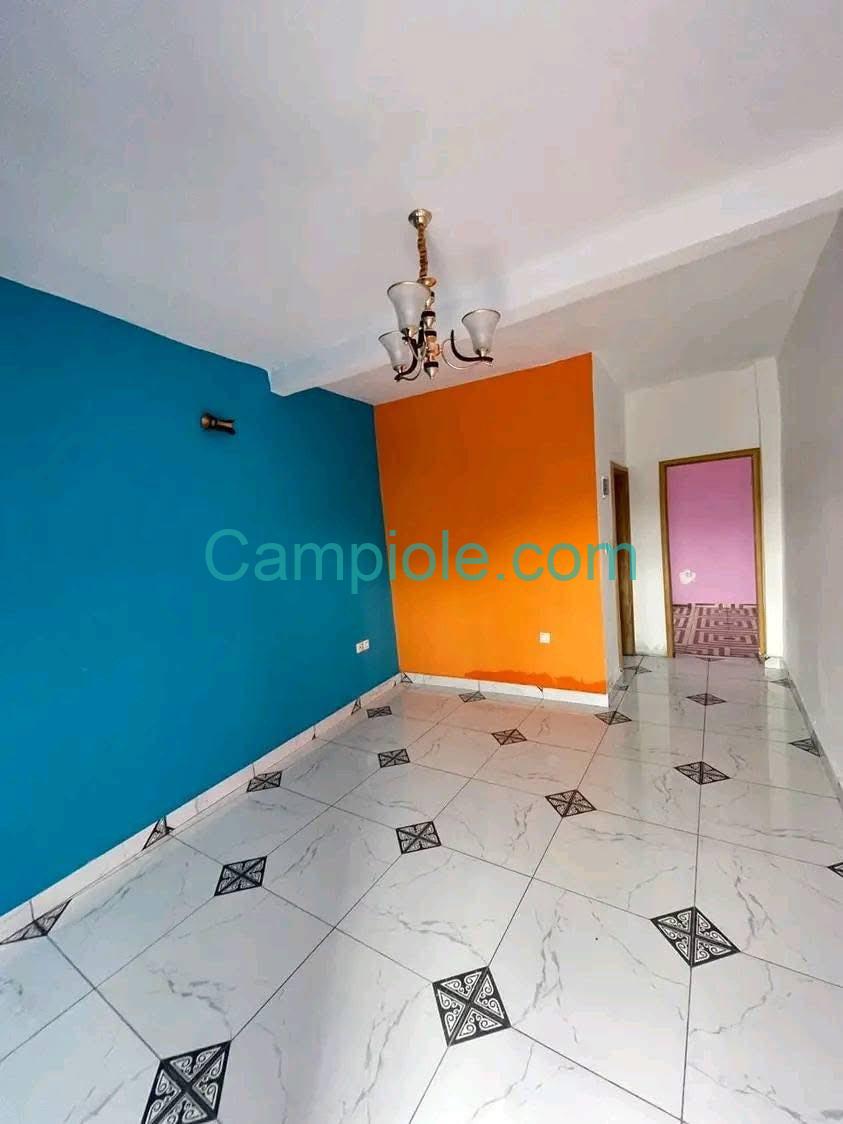 HS_studio_eleveur_yde_050925_sln2