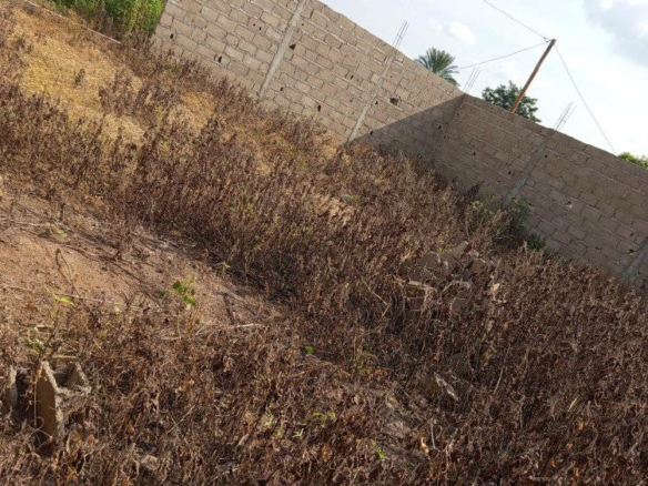 Terrain non titré à vendre à Garoua Ndjoumassi centre