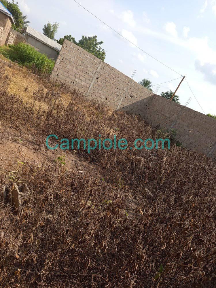 IS_terrain_garoua_020925_1