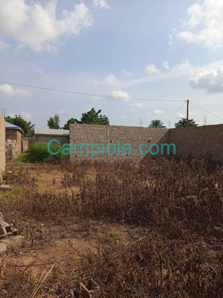 IS_terrain_garoua_020925_3