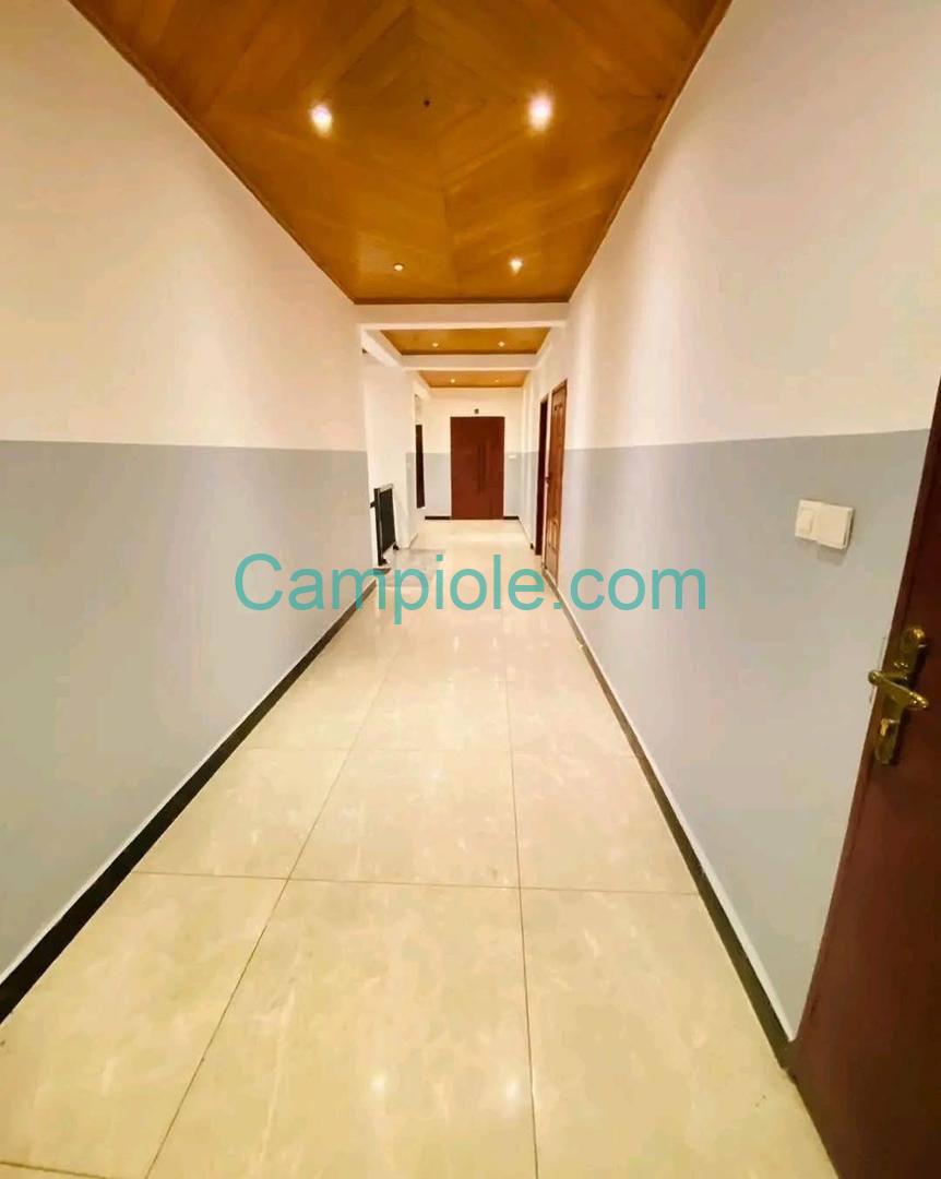 LI_appartement_bonamoussadi_100925_clr