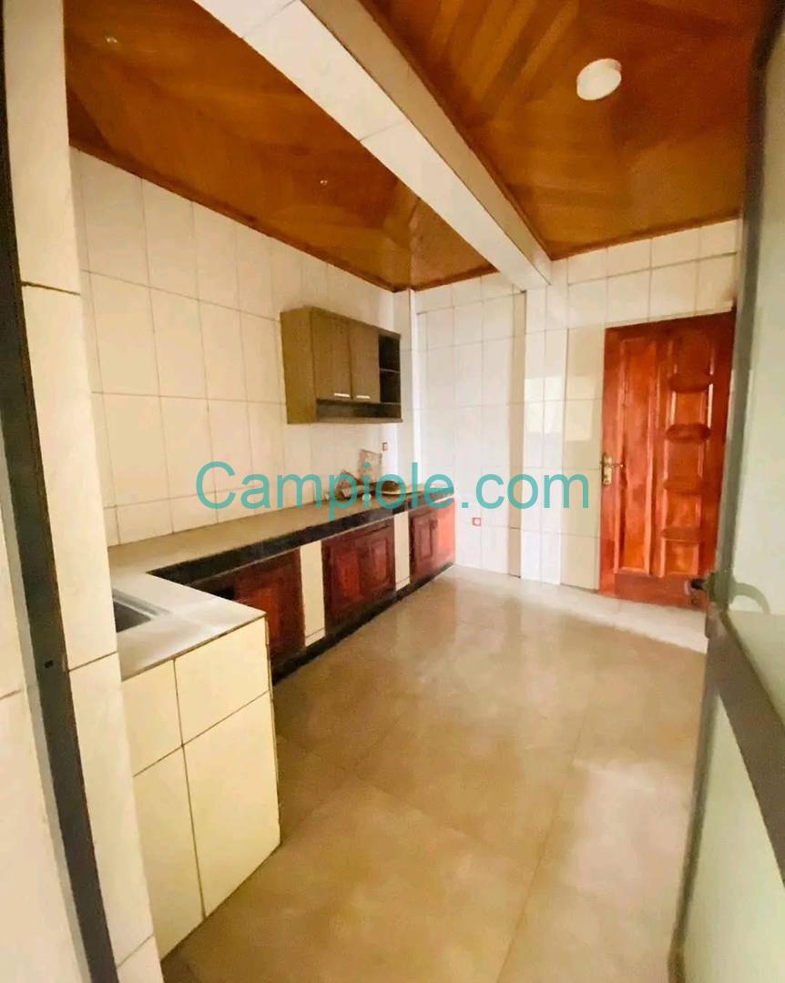 LI_appartement_bonamoussadi_100925_csn