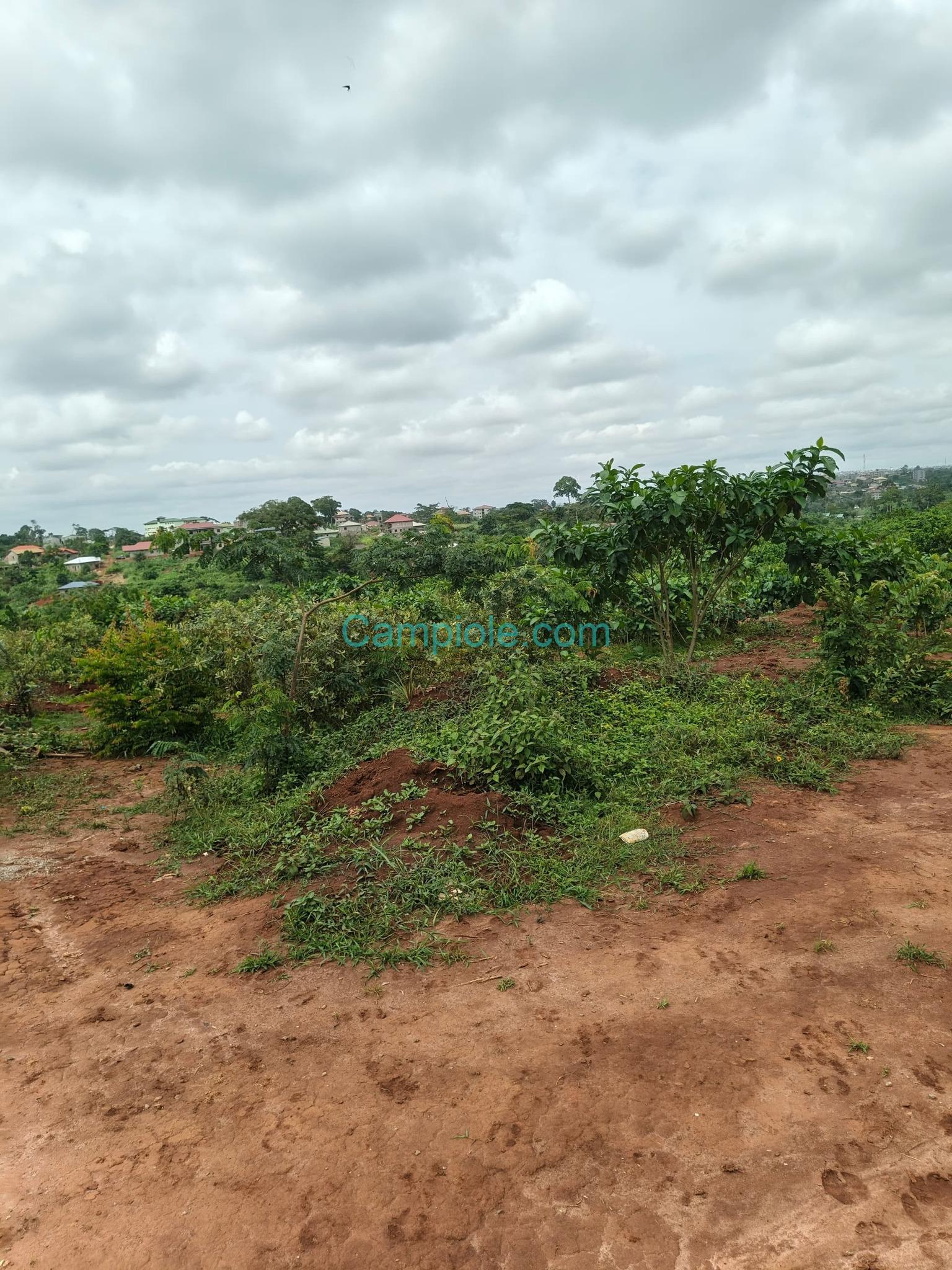 LI_terrain_tsinga_village_100925_02