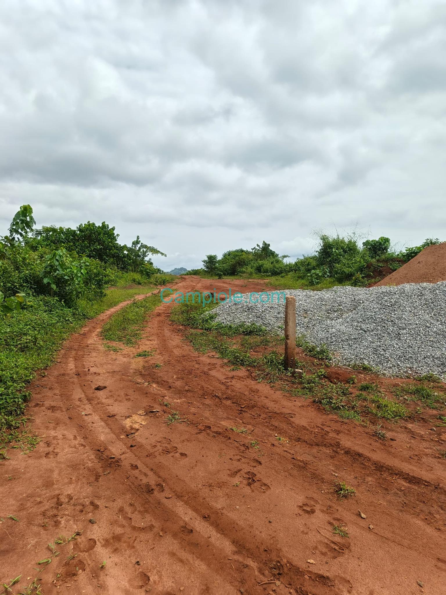 LI_terrain_tsinga_village_100925_03