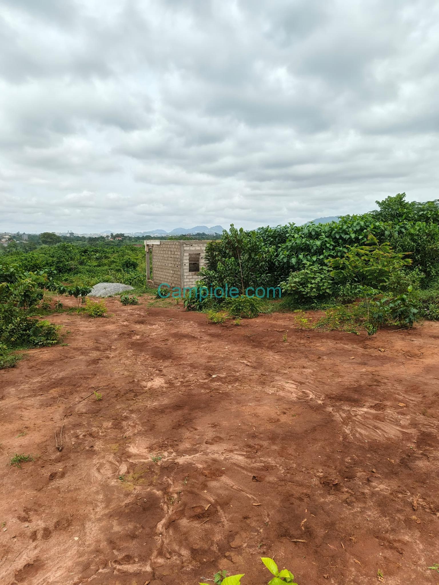 LI_terrain_tsinga_village_100925_06