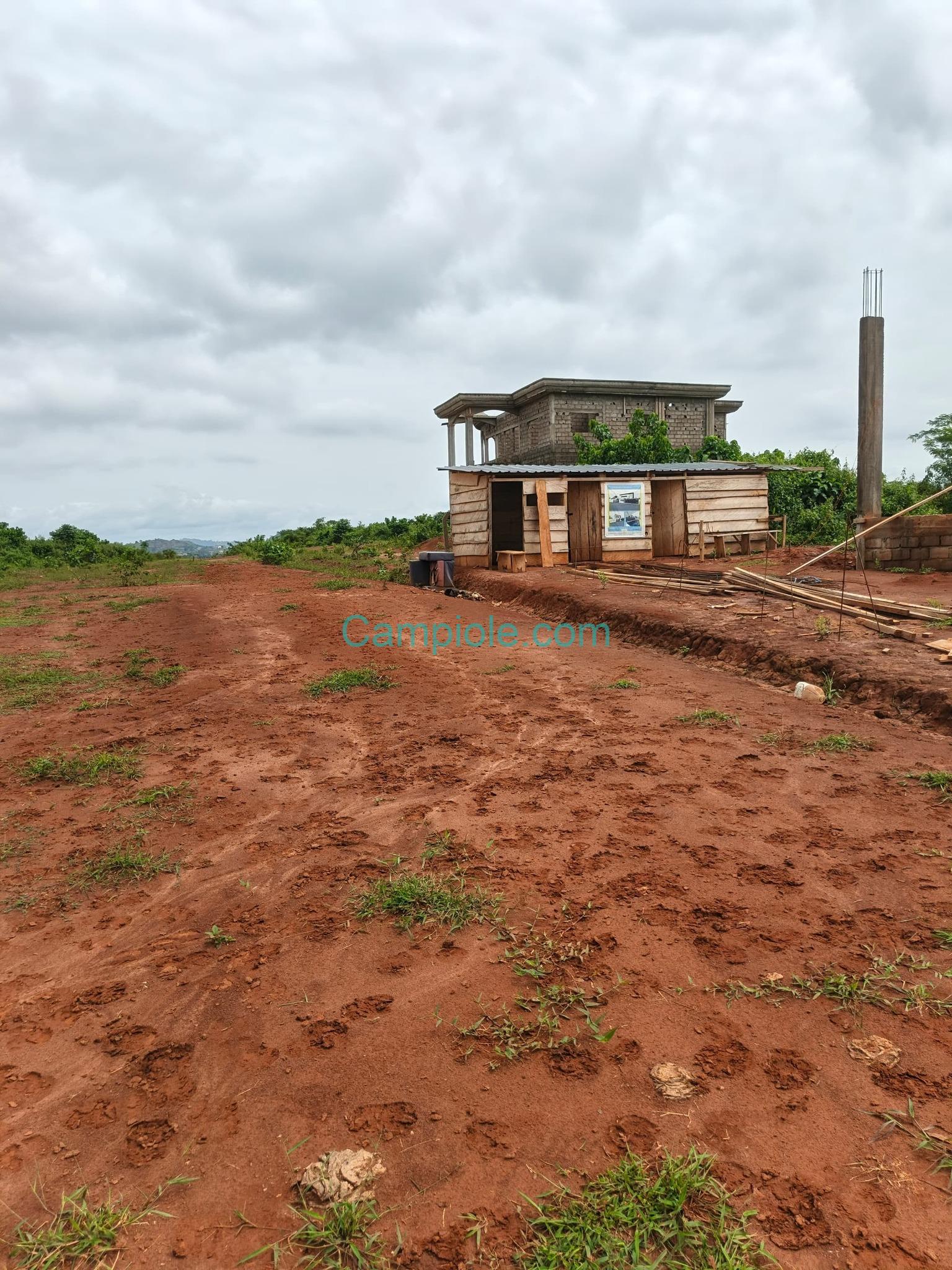 LI_terrain_tsinga_village_100925_07