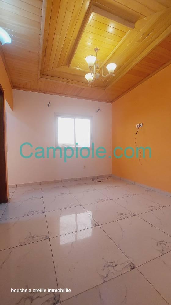 NT_studio_logpom_dla_120925_sln1