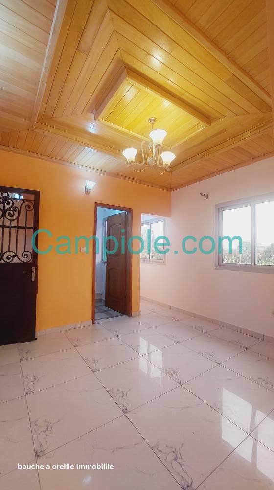 NT_studio_logpom_dla_120925_sln3