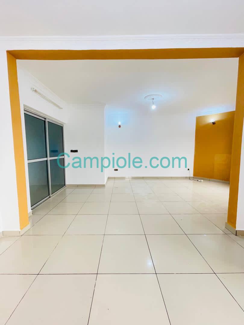 SM_appartement_bonamoussadi_050925_sln1