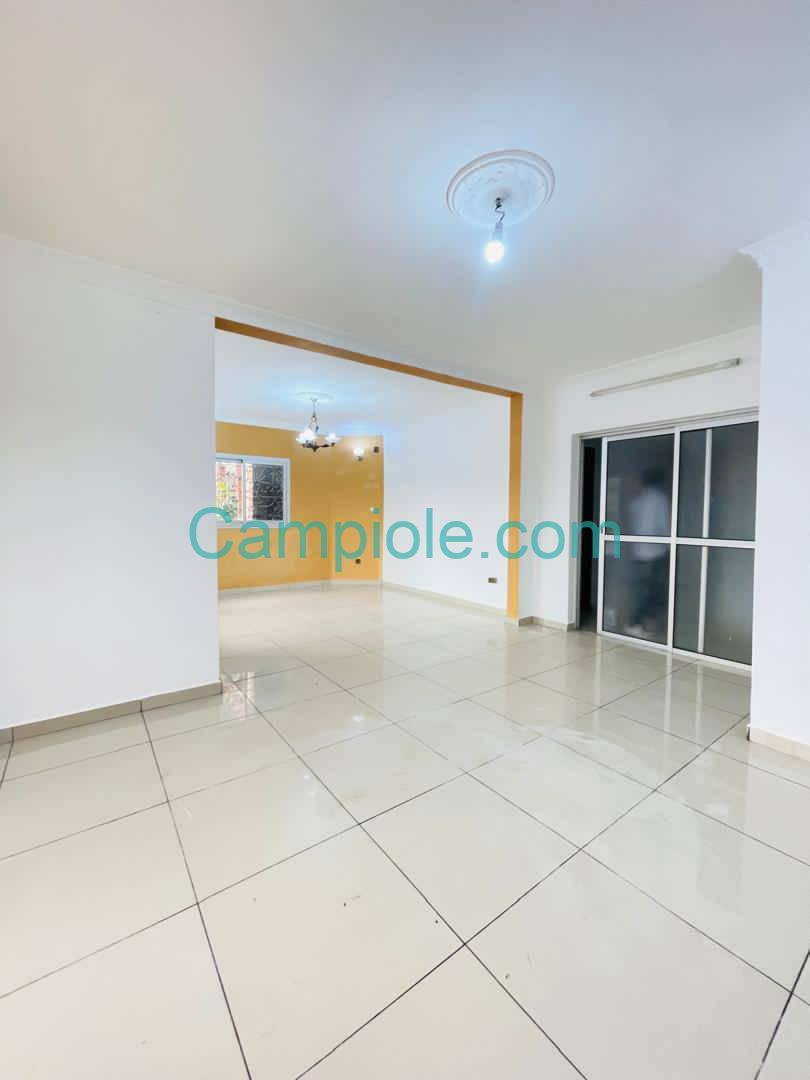 SM_appartement_bonamoussadi_050925_sln2