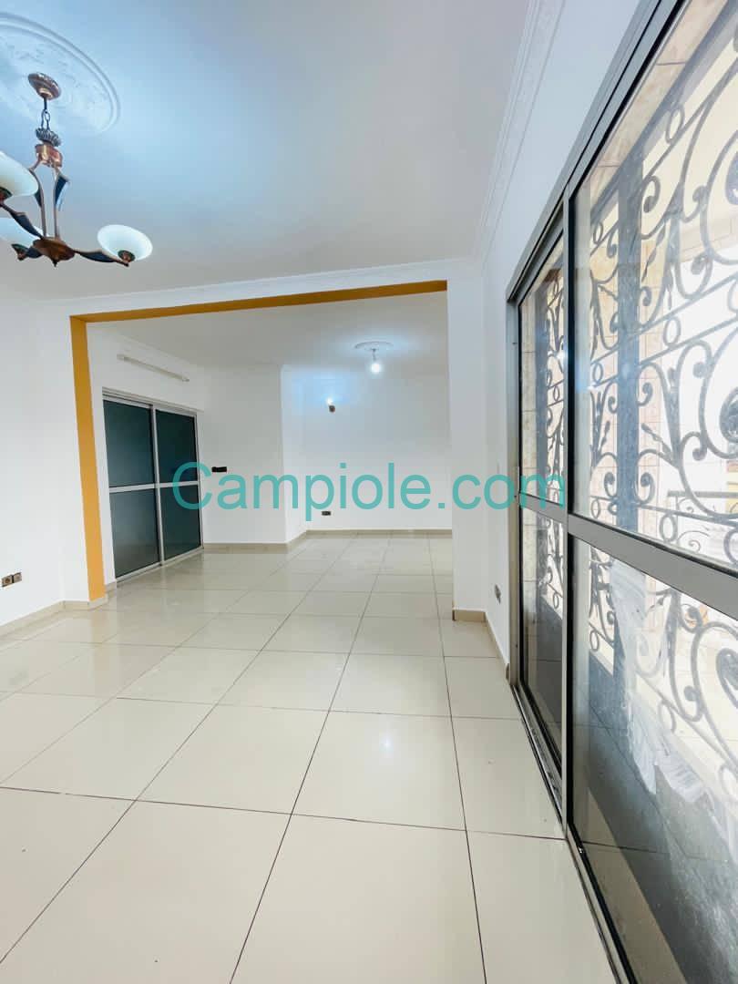 SM_appartement_bonamoussadi_050925_sln3