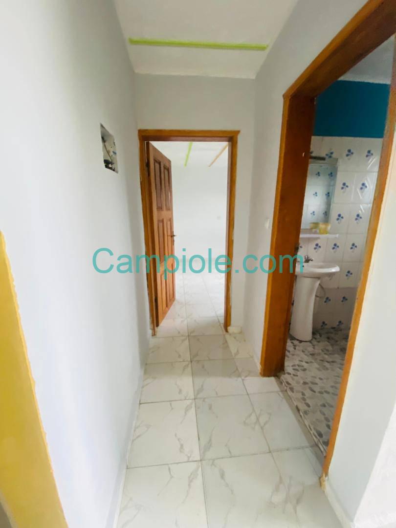 SM_studio_bonamoussadi_100925_clr