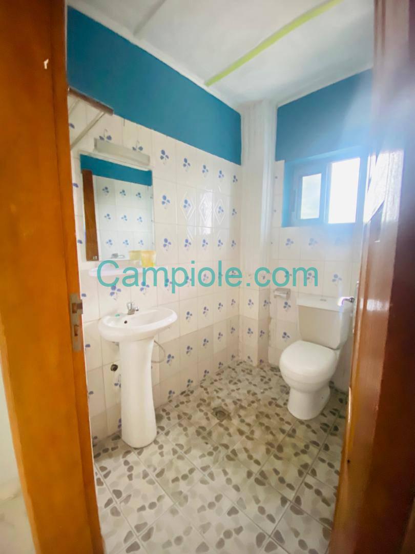 SM_studio_bonamoussadi_100925_dch