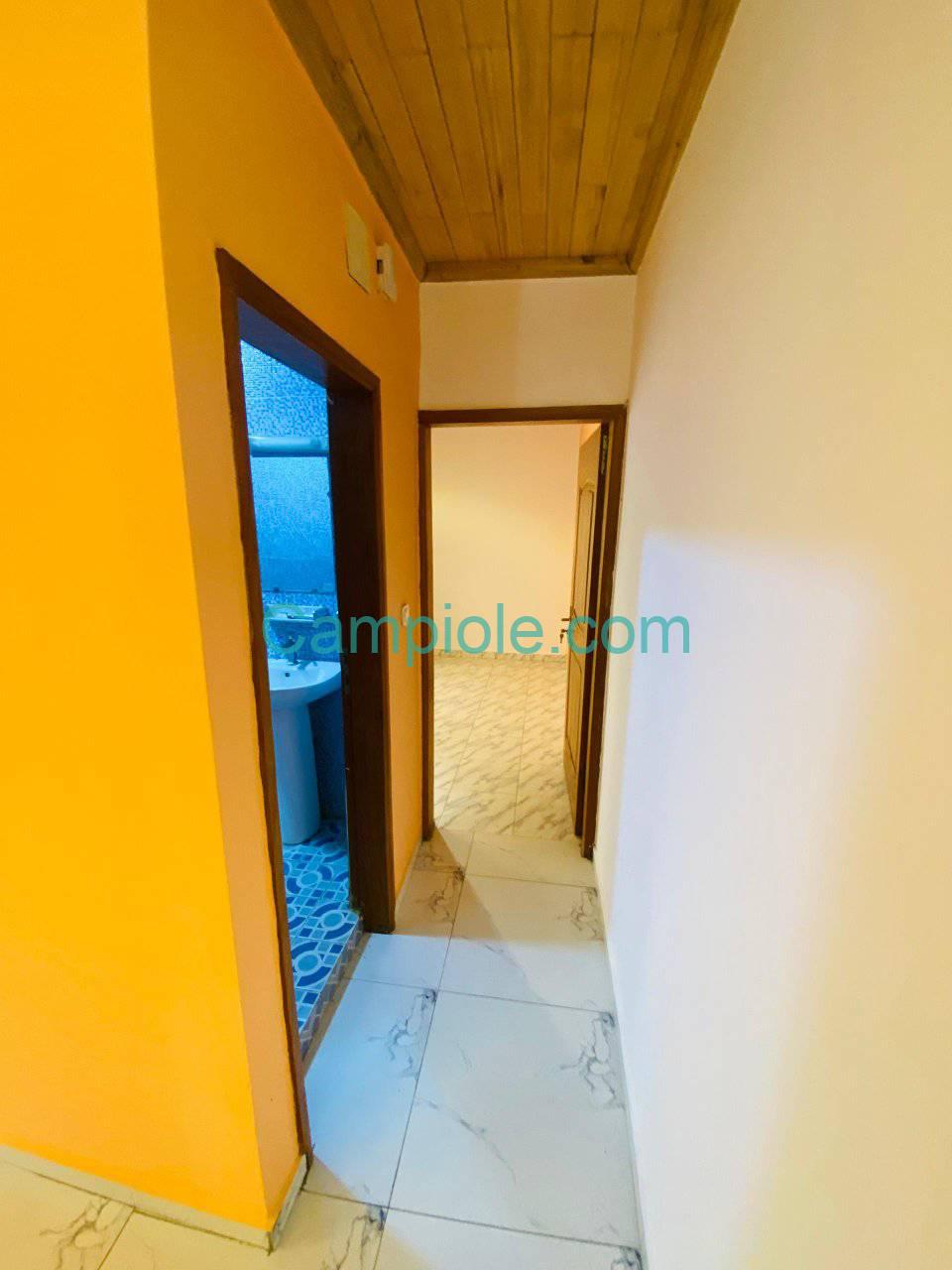 SM_studio_kotto_dla_120925_clr