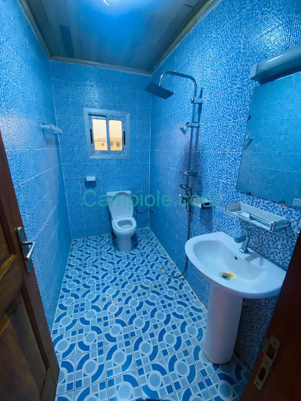 SM_studio_kotto_dla_120925_dch