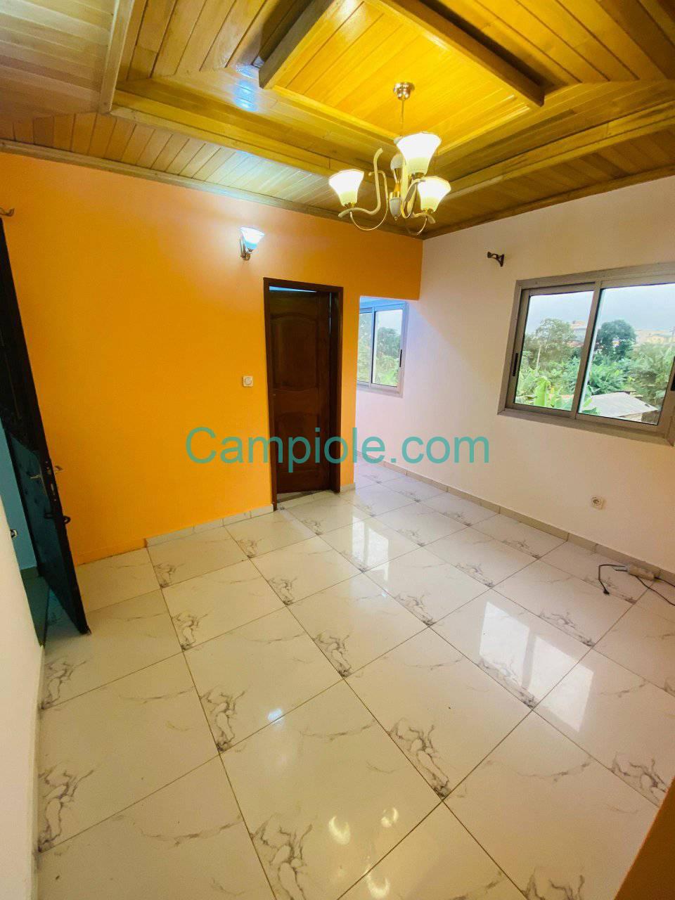 SM_studio_kotto_dla_120925_sln1