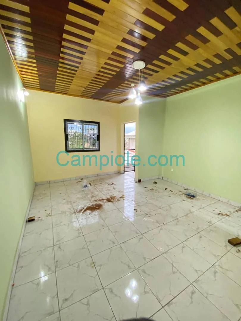 36443- GRAND STUDIO MODERNE SITUÉ À LENDI, DOUALA
