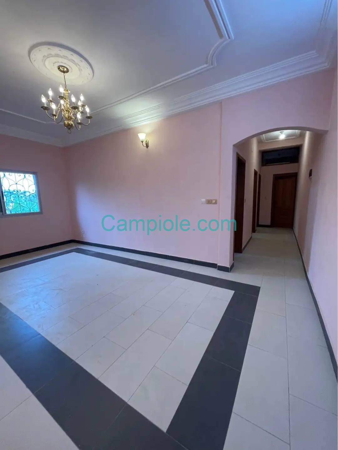 ZD_appartement_biyemassi_020925_sln2