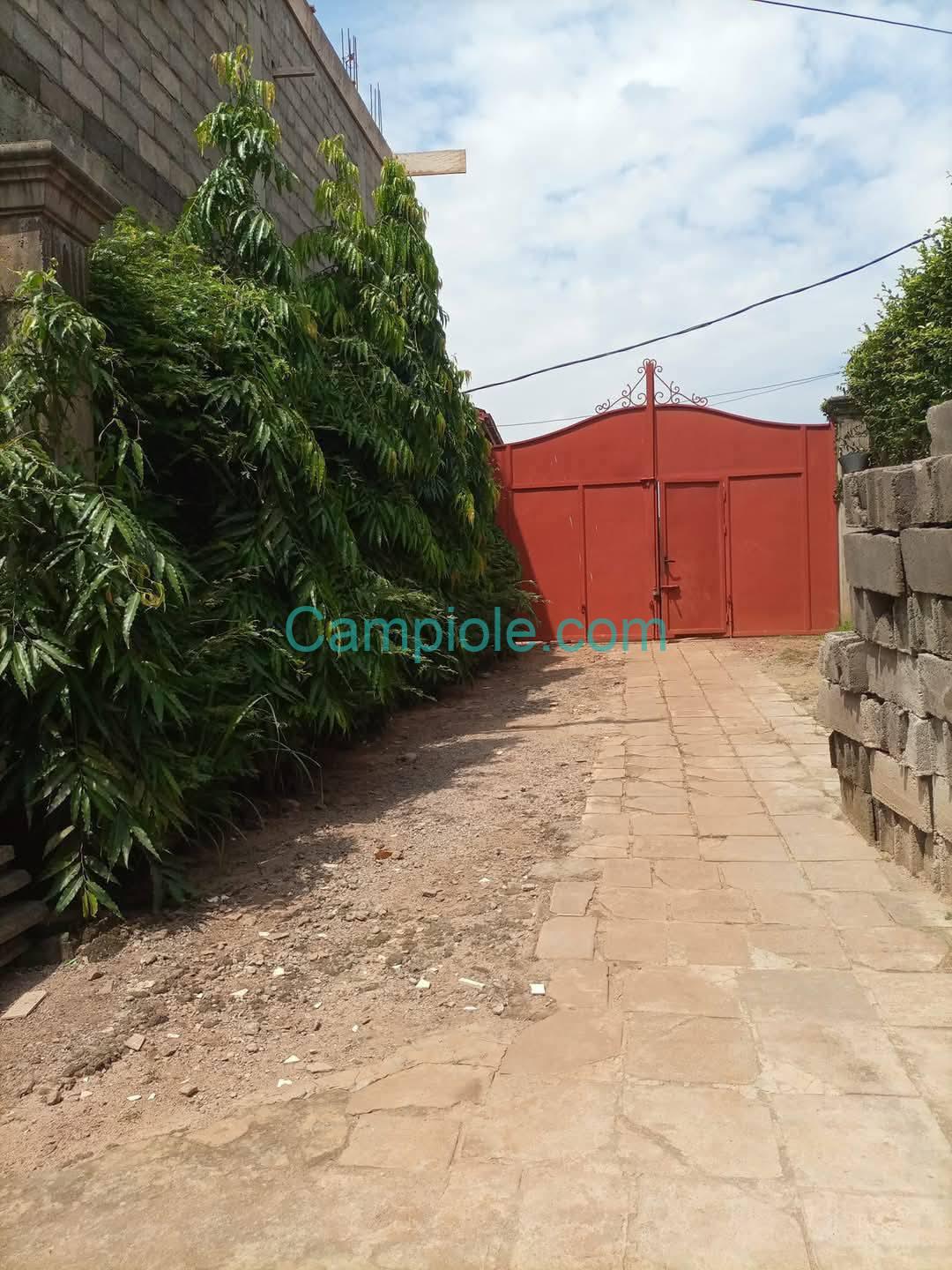 ZD_appartement_nsam_yde_010925_brr