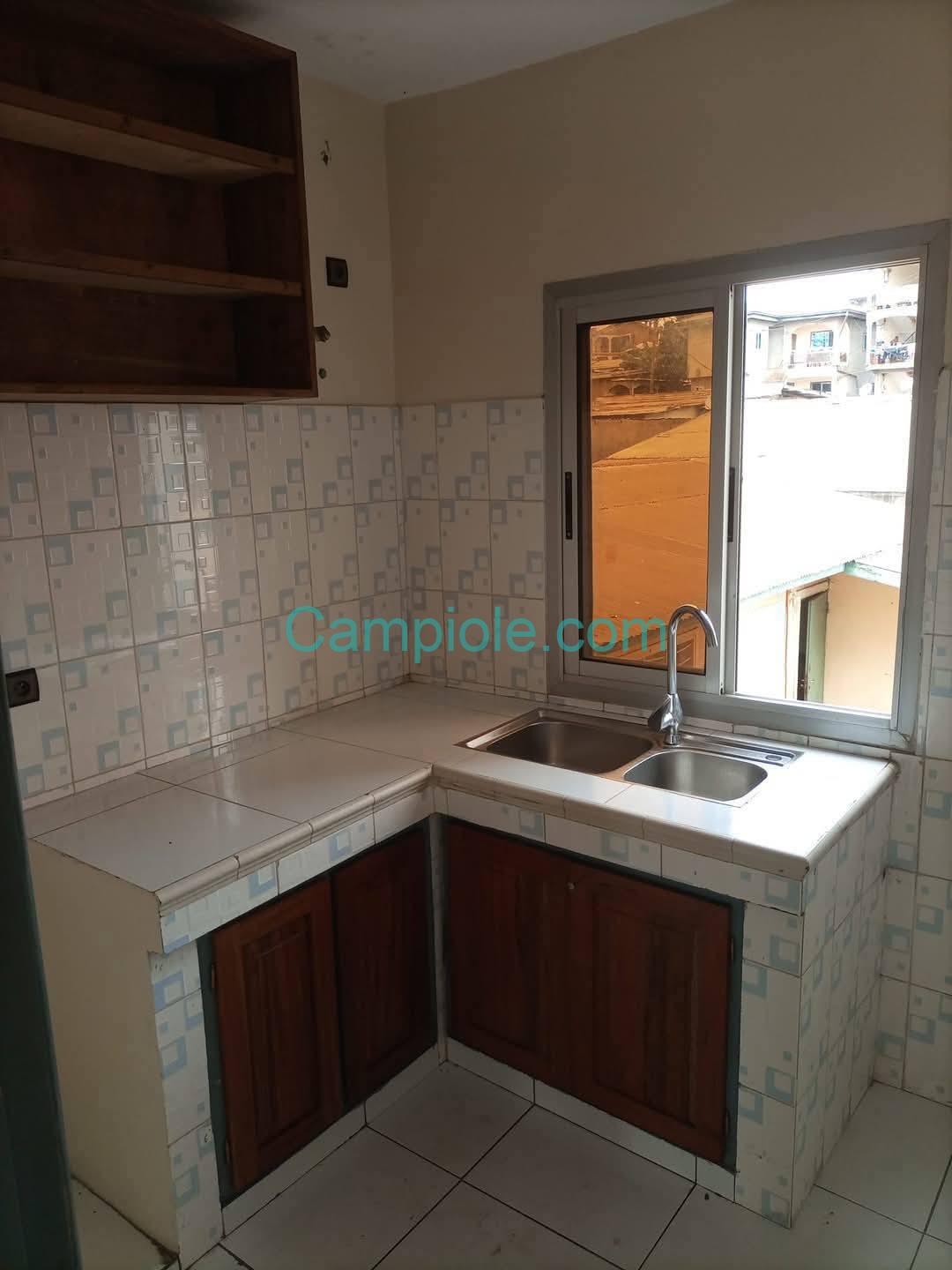 ZD_appartement_nsam_yde_010925_csn