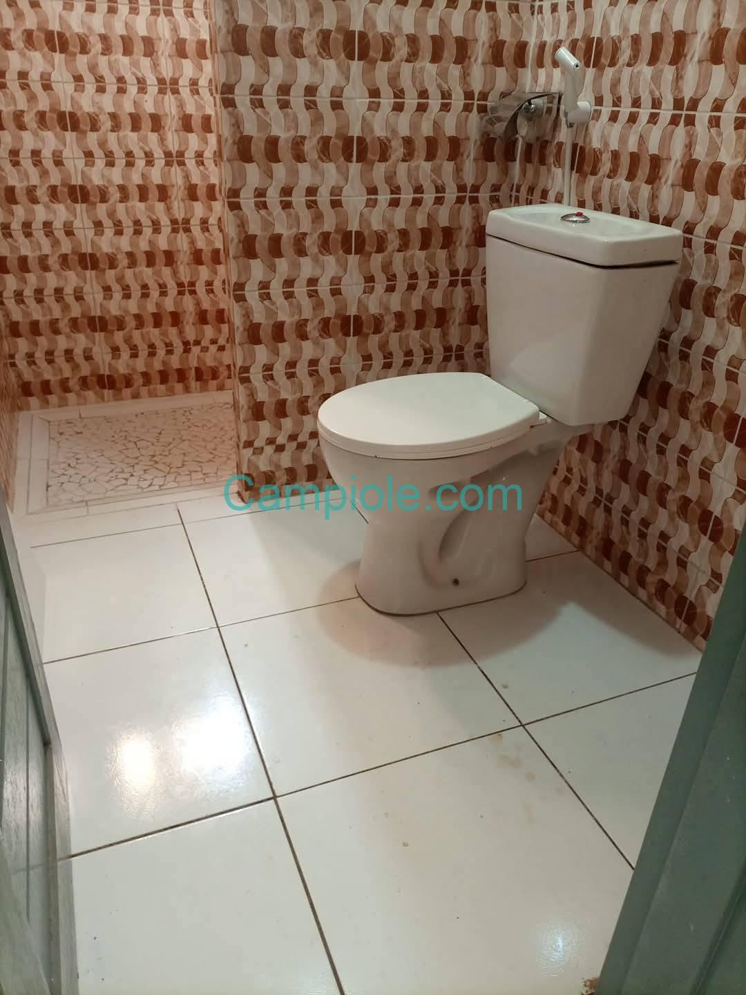 ZD_appartement_nsam_yde_010925_dch2