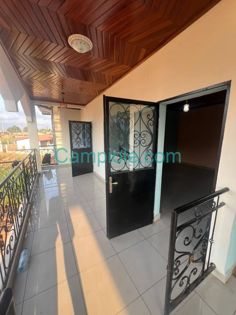 ZD_studio_damas_yde_050925_blcn1