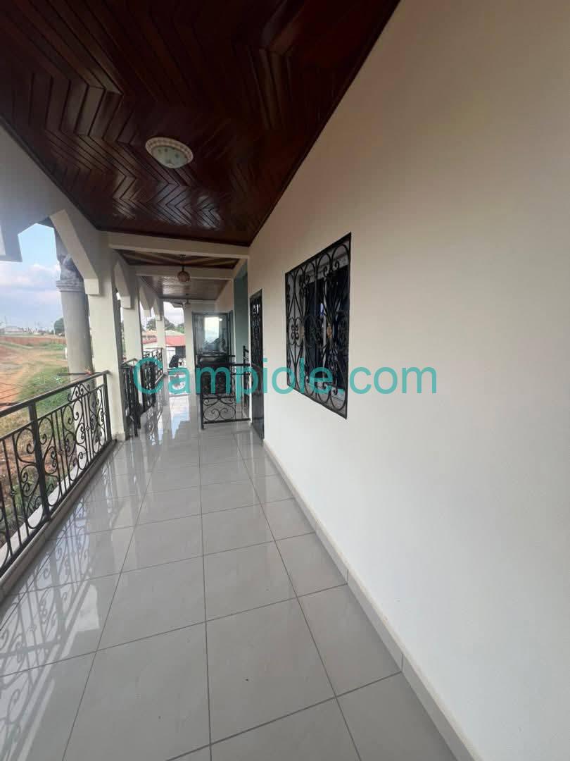 ZD_studio_damas_yde_050925_blcn2