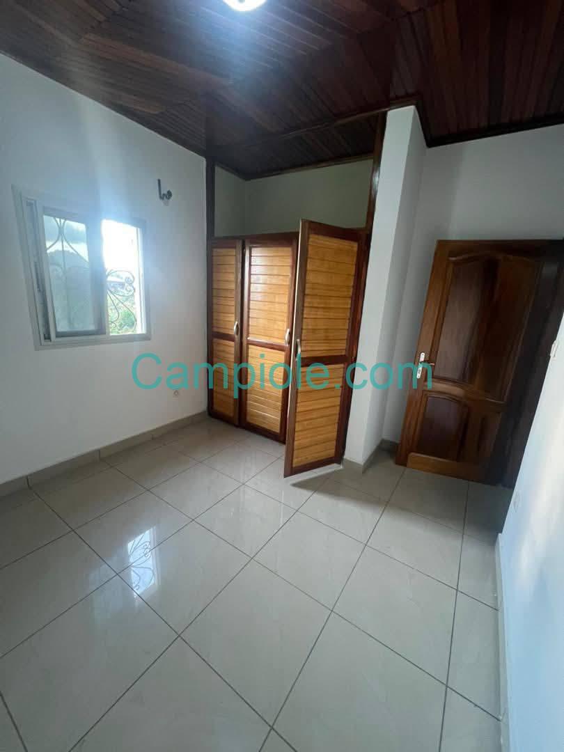 ZD_studio_damas_yde_050925_chb