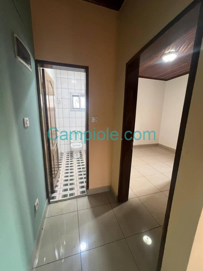 ZD_studio_damas_yde_050925_clr