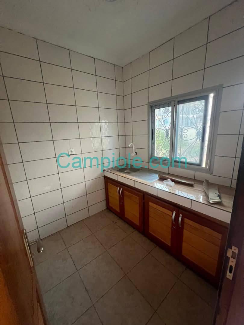 ZD_studio_damas_yde_050925_csn