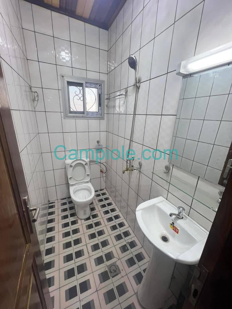 ZD_studio_damas_yde_050925_dch