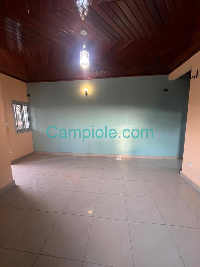 ZD_studio_damas_yde_050925_sln1